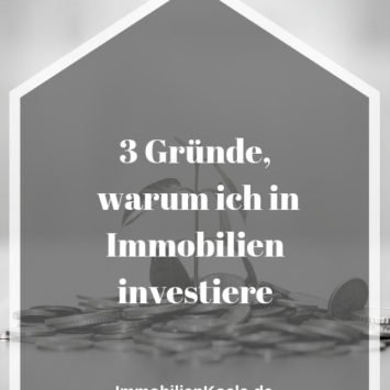 Wann Lohnt Sich Eine Immobilien-GmbH? - Immobilienkoala.de